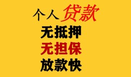 东莞上门信用贷款办理-东莞上门身份证贷款分期-东莞上门小额私人借贷