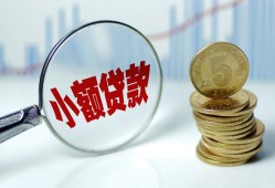 东莞上门哪里可以小额贷款-东莞上门哪里有民间借贷-东莞上门民间短期私借借款