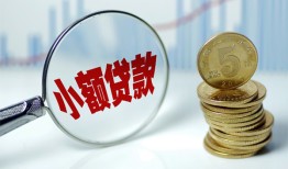 东莞上门哪里可以小额贷款-东莞上门哪里有民间借贷-东莞上门民间短期私借借款